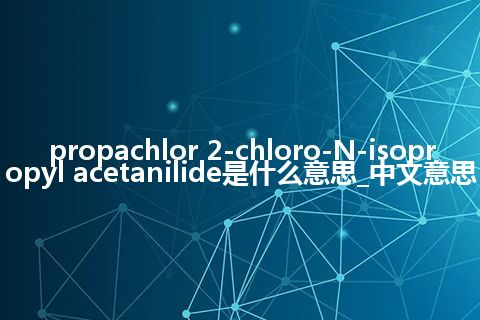 propachlor 2-chloro-N-isopropyl acetanilide是什么意思_中文意思