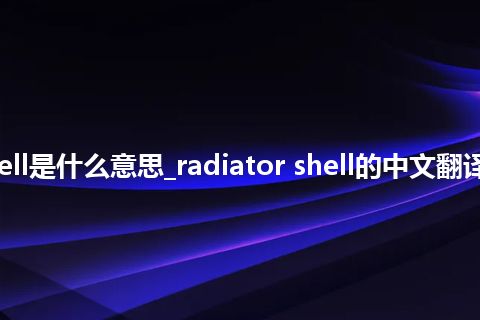 radiator shell是什么意思_radiator shell的中文翻译及用法_用法