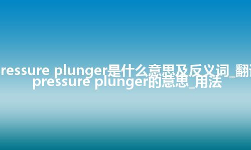pressure plunger是什么意思及反义词_翻译pressure plunger的意思_用法