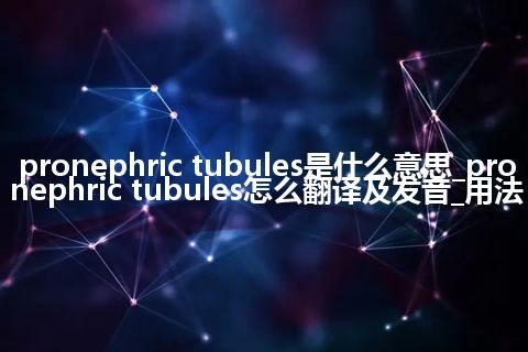 pronephric tubules是什么意思_pronephric tubules怎么翻译及发音_用法