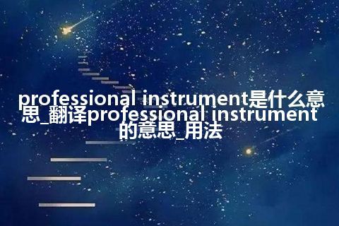 professional instrument是什么意思_翻译professional instrument的意思_用法