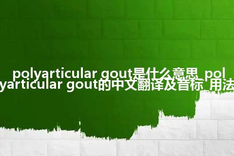 polyarticular gout是什么意思_polyarticular gout的中文翻译及音标_用法