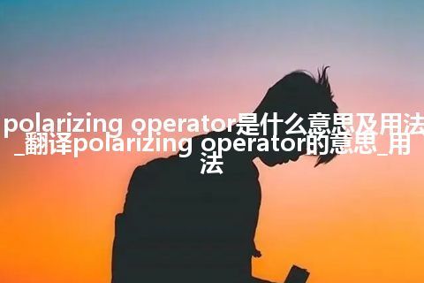 polarizing operator是什么意思及用法_翻译polarizing operator的意思_用法