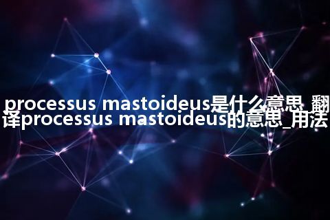 processus mastoideus是什么意思_翻译processus mastoideus的意思_用法