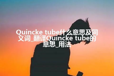 Quincke tube什么意思及同义词_翻译Quincke tube的意思_用法