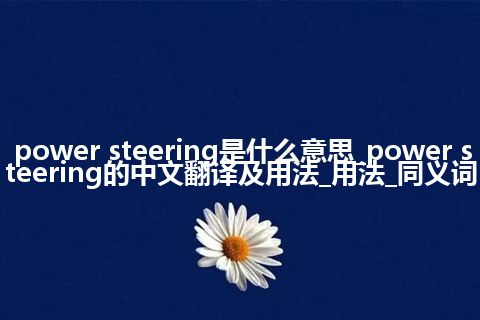 power steering是什么意思_power steering的中文翻译及用法_用法_同义词