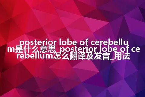 posterior lobe of cerebellum是什么意思_posterior lobe of cerebellum怎么翻译及发音_用法