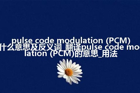 pulse code modulation (PCM)是什么意思及反义词_翻译pulse code modulation (PCM)的意思_用法