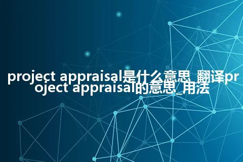 project appraisal是什么意思_翻译project appraisal的意思_用法