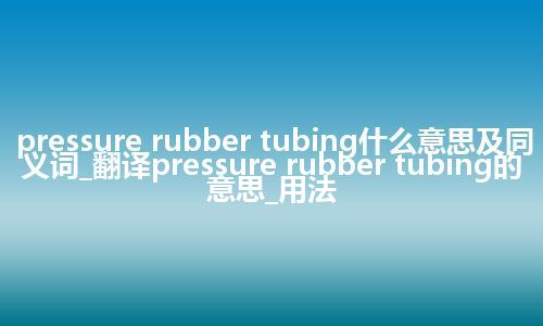 pressure rubber tubing什么意思及同义词_翻译pressure rubber tubing的意思_用法
