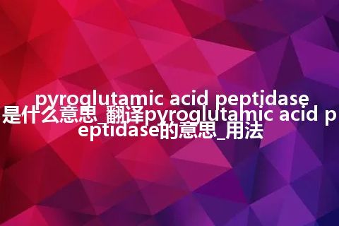 pyroglutamic acid peptidase是什么意思_翻译pyroglutamic acid peptidase的意思_用法