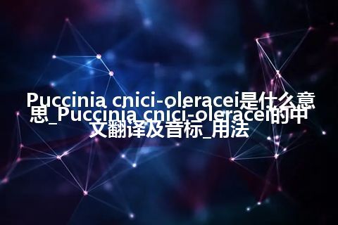Puccinia cnici-oleracei是什么意思_Puccinia cnici-oleracei的中文翻译及音标_用法
