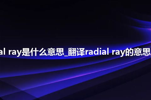 radial ray是什么意思_翻译radial ray的意思_用法