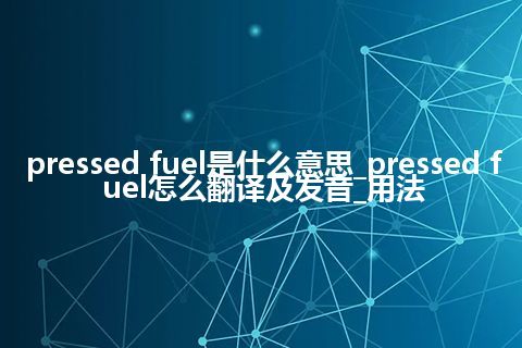 pressed fuel是什么意思_pressed fuel怎么翻译及发音_用法