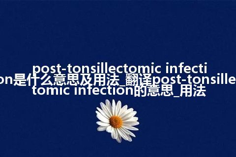 post-tonsillectomic infection是什么意思及用法_翻译post-tonsillectomic infection的意思_用法