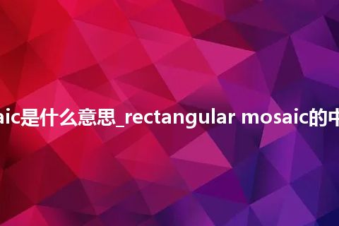 rectangular mosaic是什么意思_rectangular mosaic的中文翻译及音标_用法