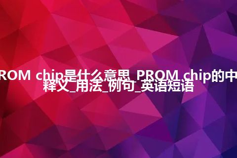 PROM chip是什么意思_PROM chip的中文释义_用法_例句_英语短语