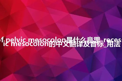 recess of pelvic mesocolon是什么意思_recess of pelvic mesocolon的中文翻译及音标_用法