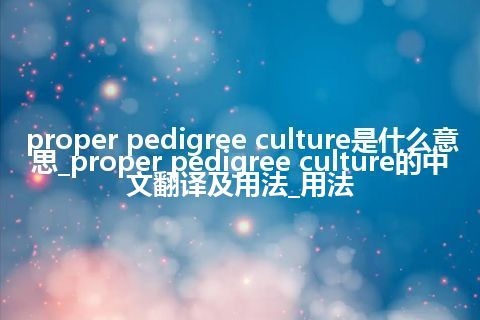 proper pedigree culture是什么意思_proper pedigree culture的中文翻译及用法_用法