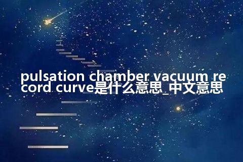 pulsation chamber vacuum record curve是什么意思_中文意思