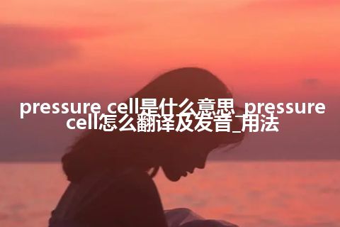 pressure cell是什么意思_pressure cell怎么翻译及发音_用法