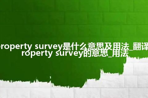 property survey是什么意思及用法_翻译property survey的意思_用法
