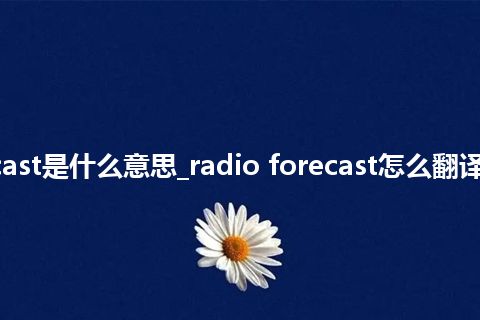 radio forecast是什么意思_radio forecast怎么翻译及发音_用法