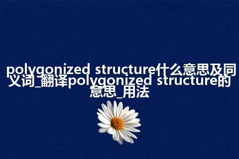 polygonized structure什么意思及同义词_翻译polygonized structure的意思_用法