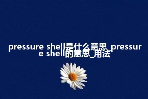 pressure shell是什么意思_pressure shell的意思_用法