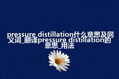 pressure distillation什么意思及同义词_翻译pressure distillation的意思_用法