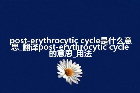 post-erythrocytic cycle是什么意思_翻译post-erythrocytic cycle的意思_用法