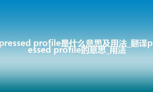 pressed profile是什么意思及用法_翻译pressed profile的意思_用法