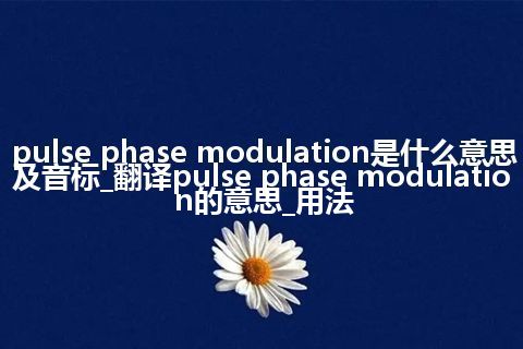 pulse phase modulation是什么意思及音标_翻译pulse phase modulation的意思_用法