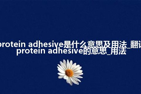 protein adhesive是什么意思及用法_翻译protein adhesive的意思_用法