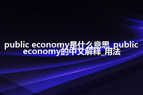 public economy是什么意思_public economy的中文解释_用法