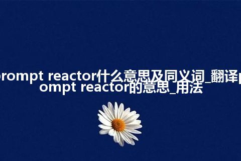 prompt reactor什么意思及同义词_翻译prompt reactor的意思_用法