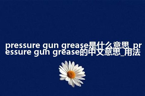 pressure gun grease是什么意思_pressure gun grease的中文意思_用法