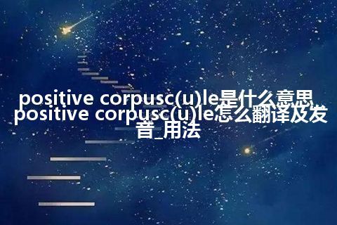 positive corpusc(u)le是什么意思_positive corpusc(u)le怎么翻译及发音_用法
