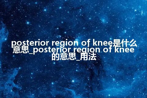 posterior region of knee是什么意思_posterior region of knee的意思_用法