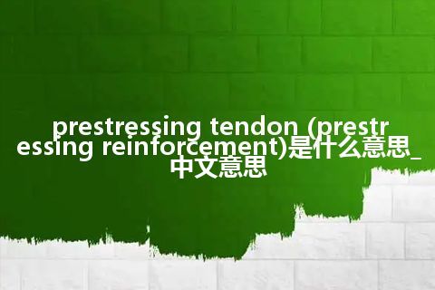 prestressing tendon (prestressing reinforcement)是什么意思_中文意思