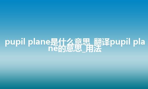 pupil plane是什么意思_翻译pupil plane的意思_用法