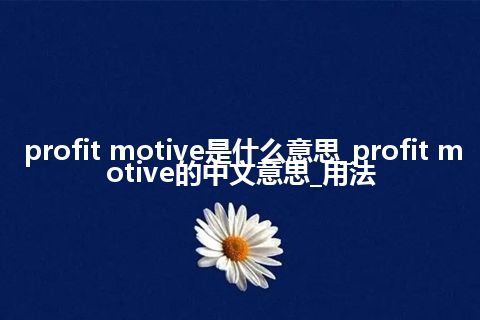 profit motive是什么意思_profit motive的中文意思_用法