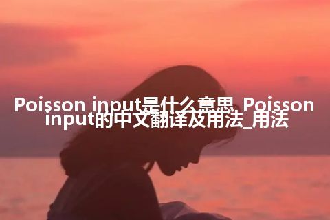 Poisson input是什么意思_Poisson input的中文翻译及用法_用法