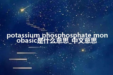 potassium phosphosphate monobasic是什么意思_中文意思