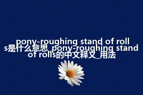 pony-roughing stand of rolls是什么意思_pony-roughing stand of rolls的中文释义_用法