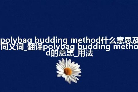 polybag budding method什么意思及同义词_翻译polybag budding method的意思_用法