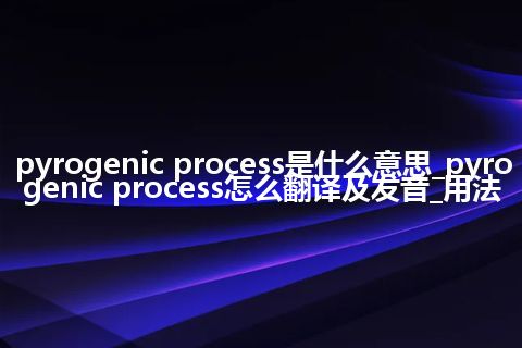 pyrogenic process是什么意思_pyrogenic process怎么翻译及发音_用法