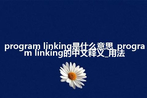 program linking是什么意思_program linking的中文释义_用法