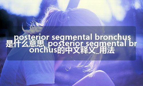 posterior segmental bronchus是什么意思_posterior segmental bronchus的中文释义_用法