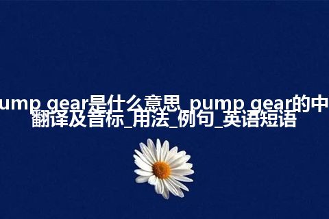 pump gear是什么意思_pump gear的中文翻译及音标_用法_例句_英语短语